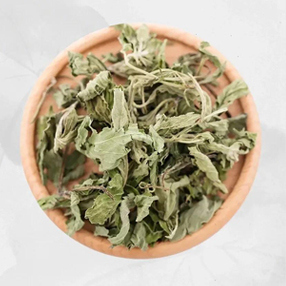 薄荷